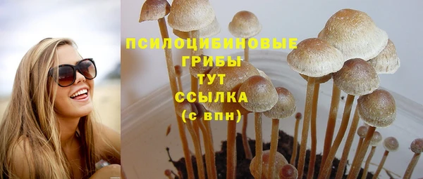 тгк Лагань