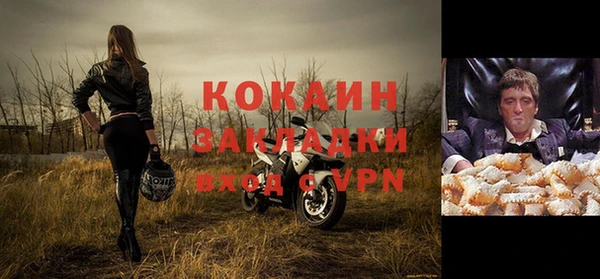 тгк Лагань