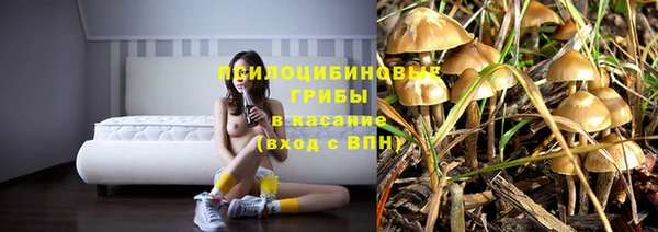 первитин Ладушкин