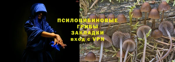 тгк Лагань